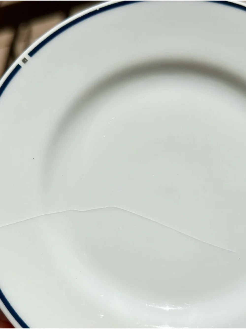 Vintage American Airlines First Class Swid Powell China Plates Set 15